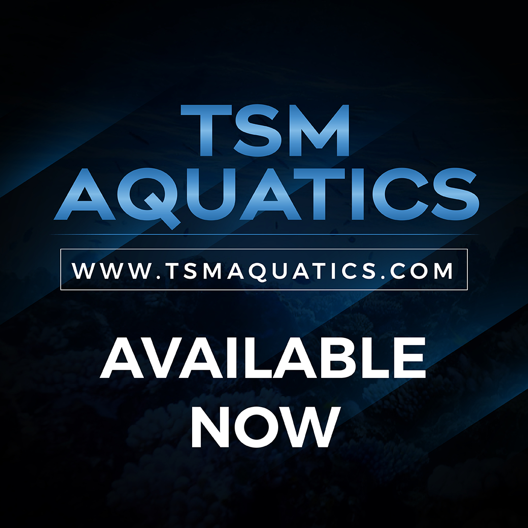 Available Now!