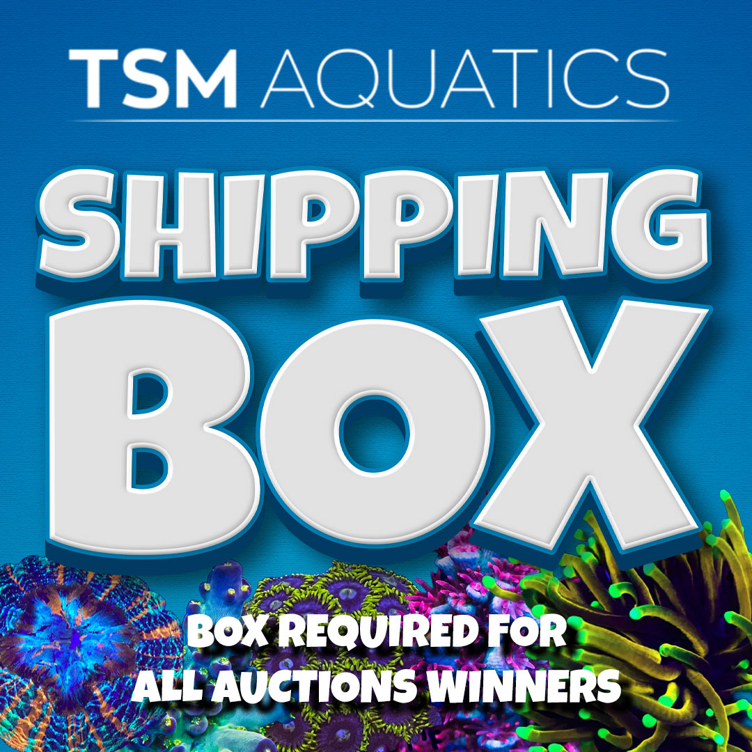 shippingbox.jpg?v=1717041684