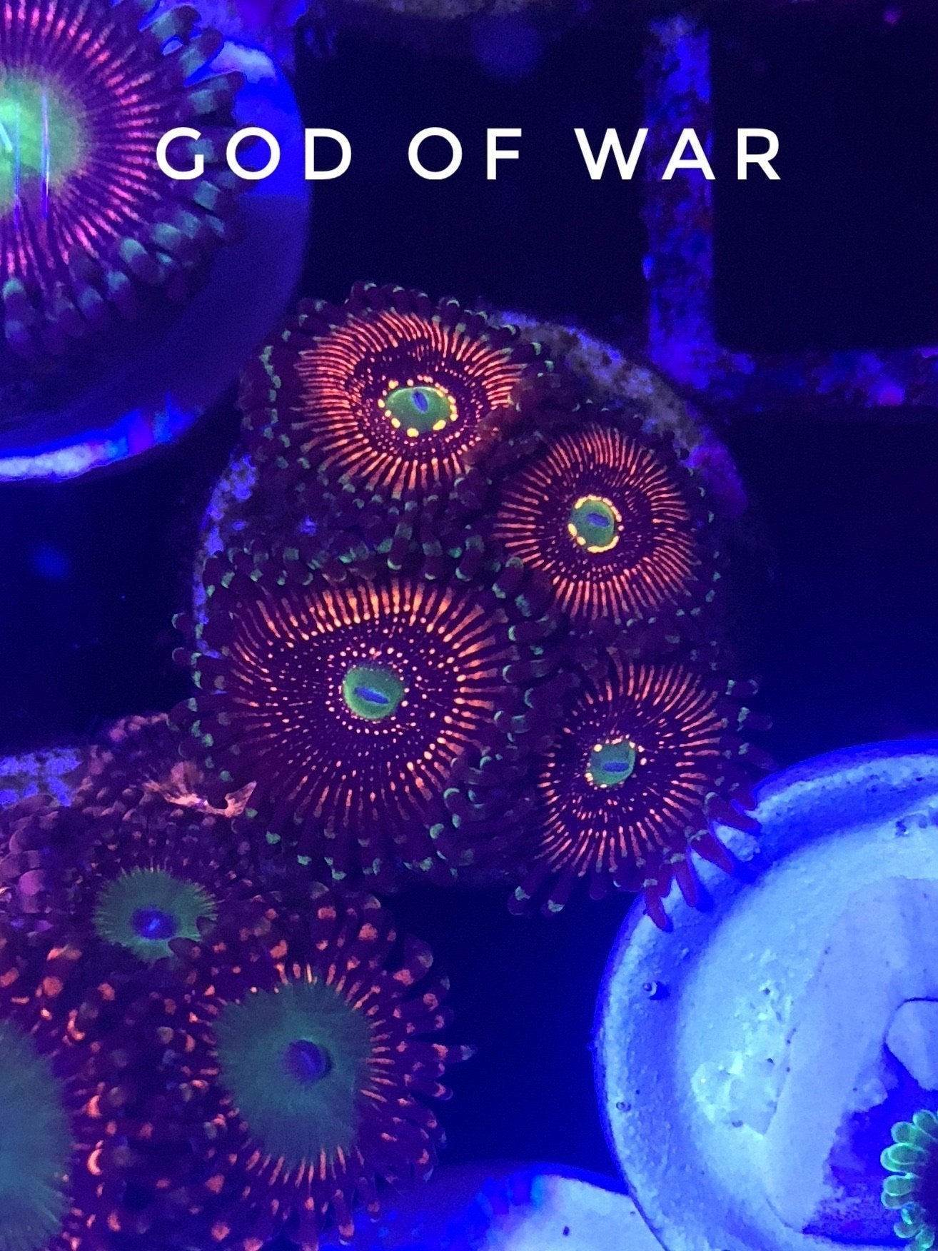 God of War (Designer)