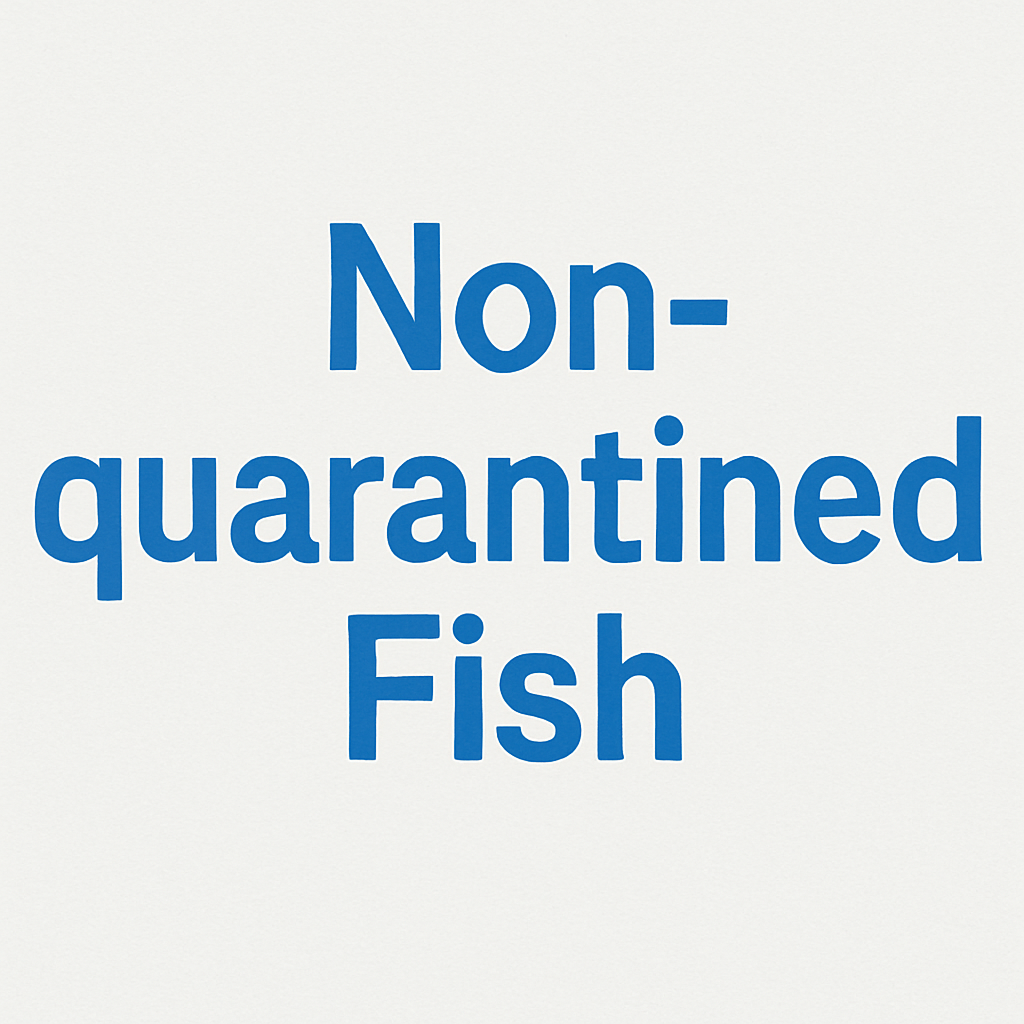 Non-QT Fish