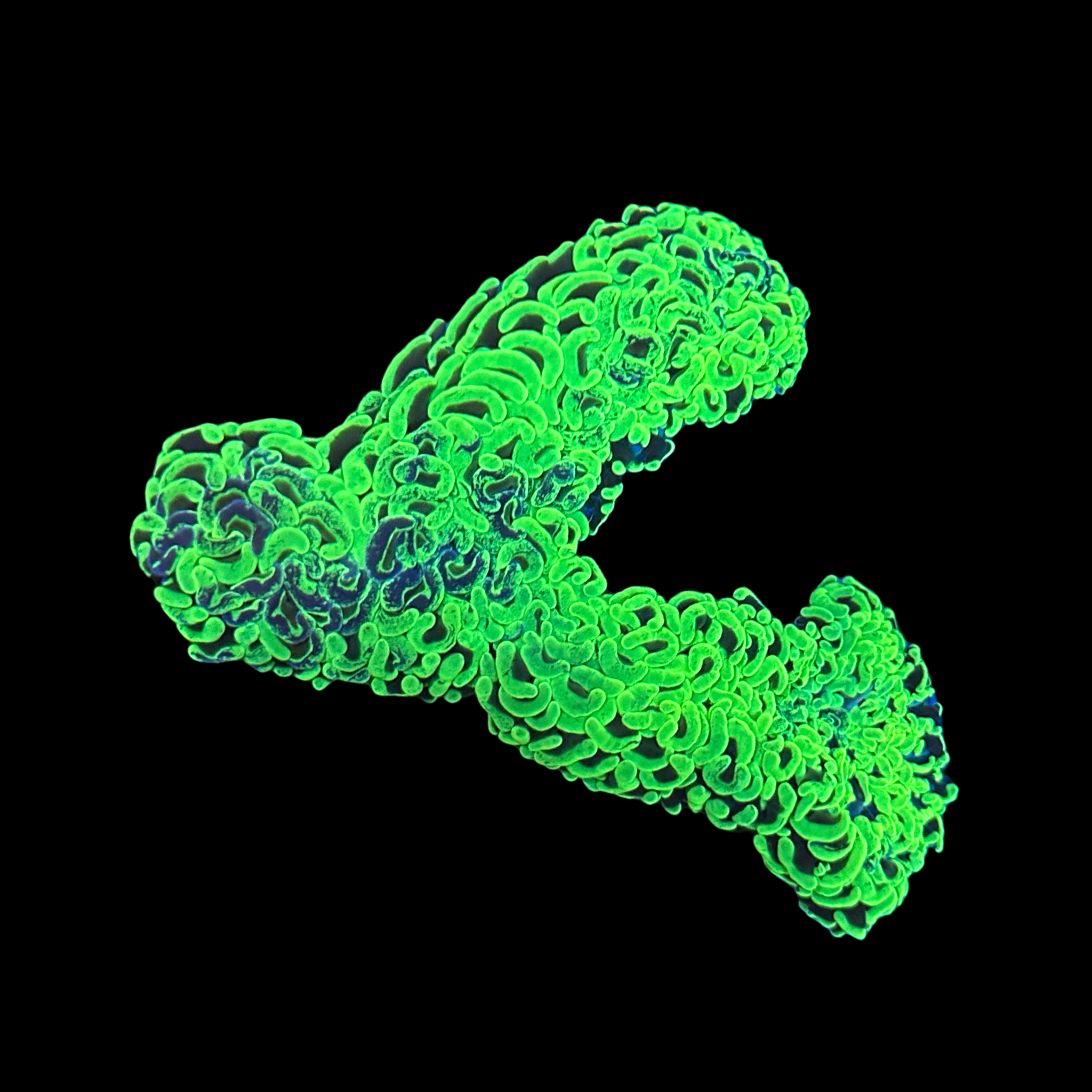 Neon Green splatter hammer wall WYSIWYG