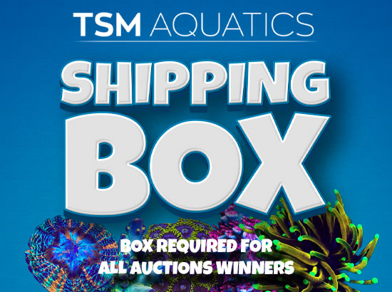 Shipping Box - Close States