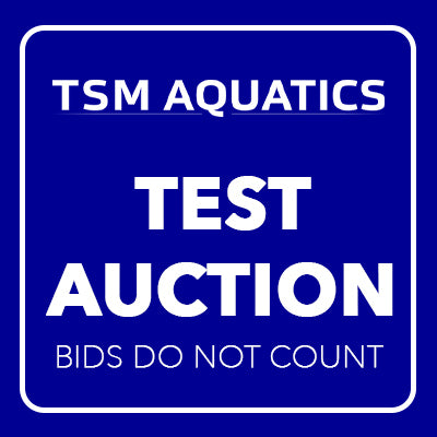 Test Auction 1