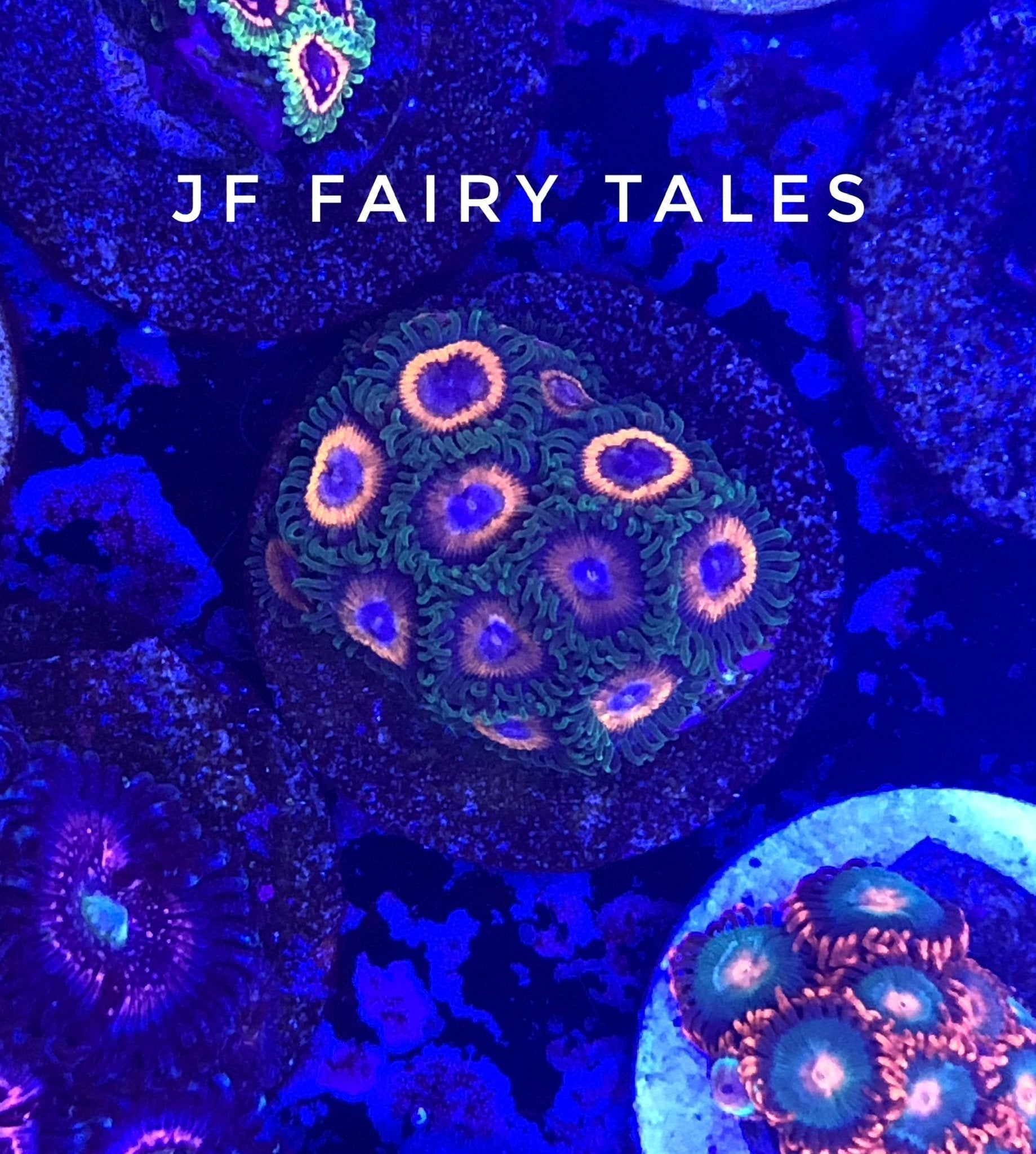 Fairy Tales (Designer)