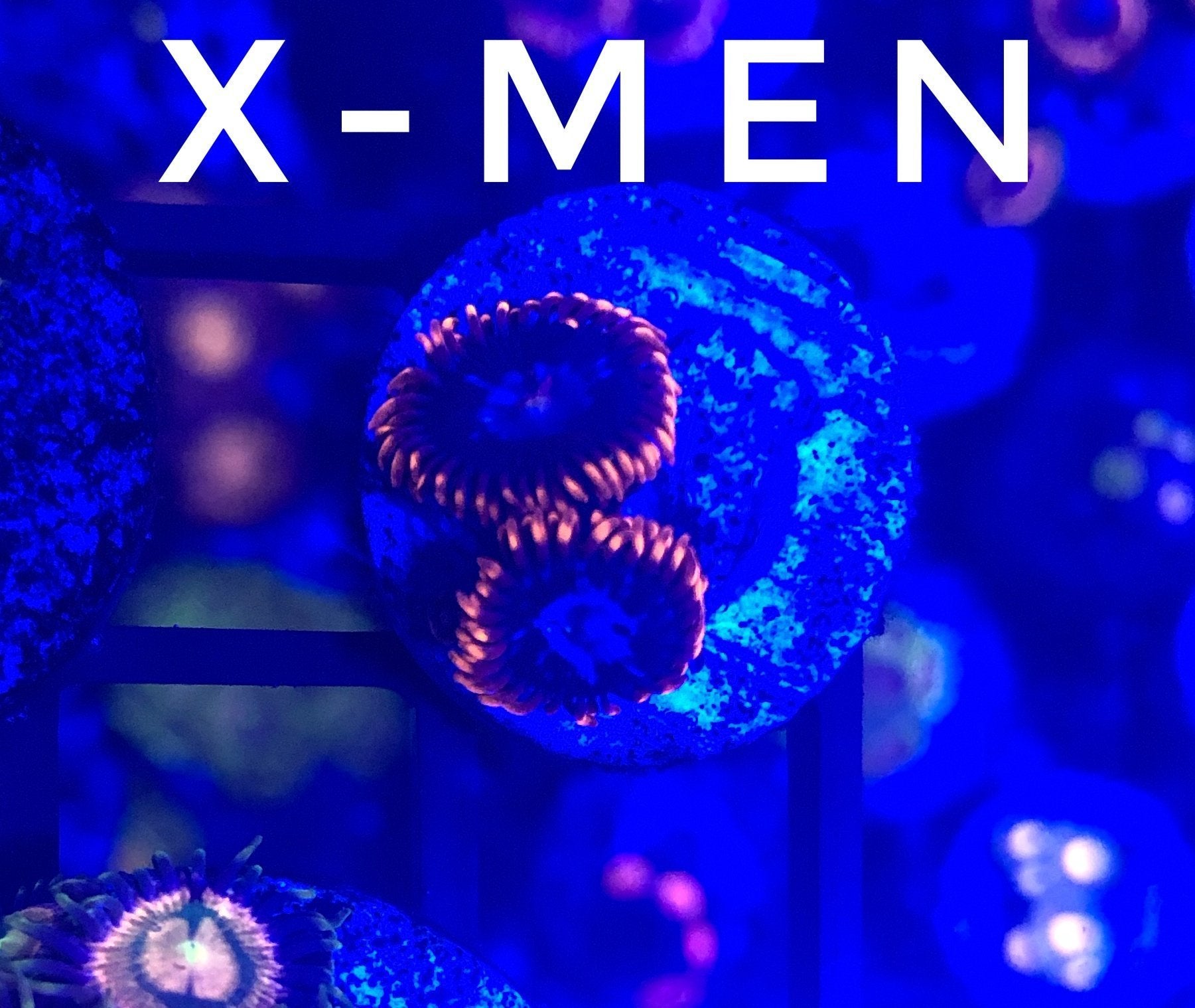 X Men