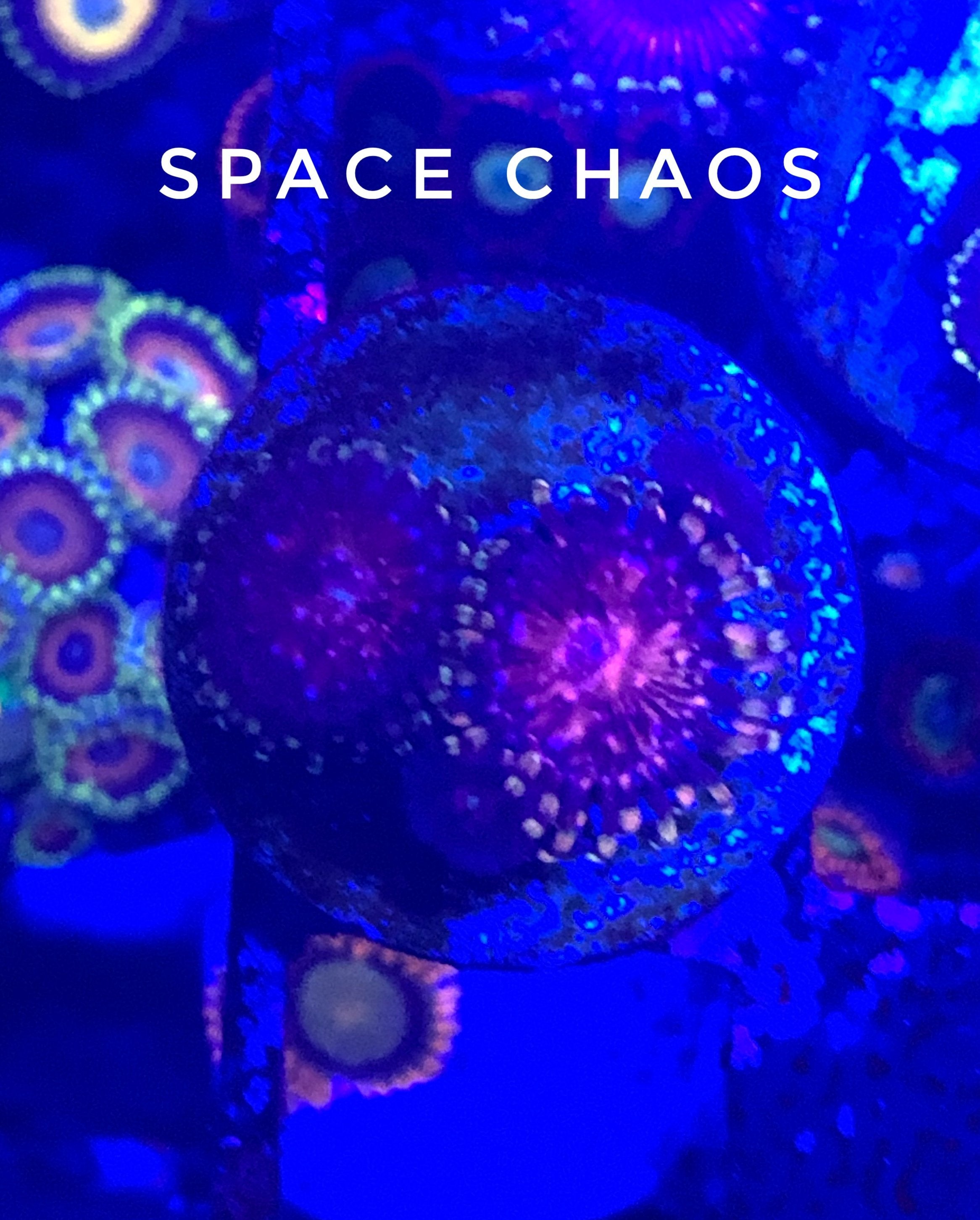 Space Chaos (Designer)